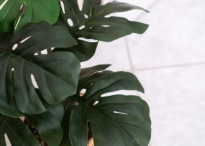 Elaia Retreat By Greece Apartment Selianítika