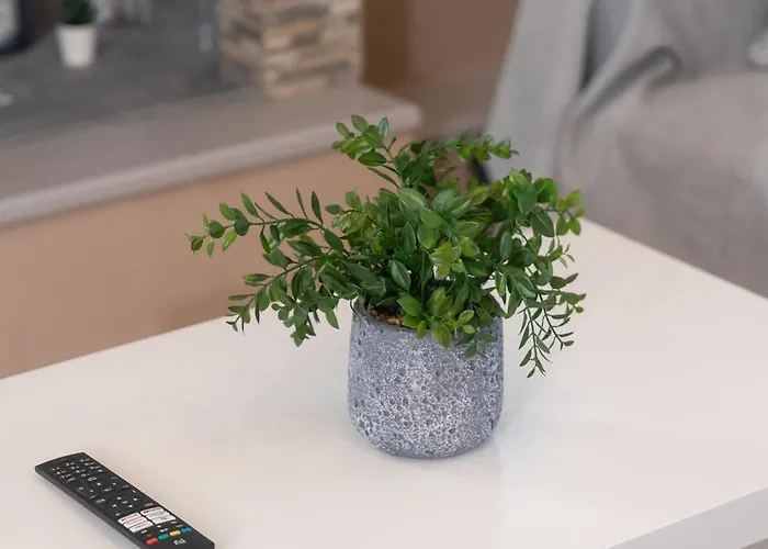 Elaia Retreat By Greece Lägenhet *